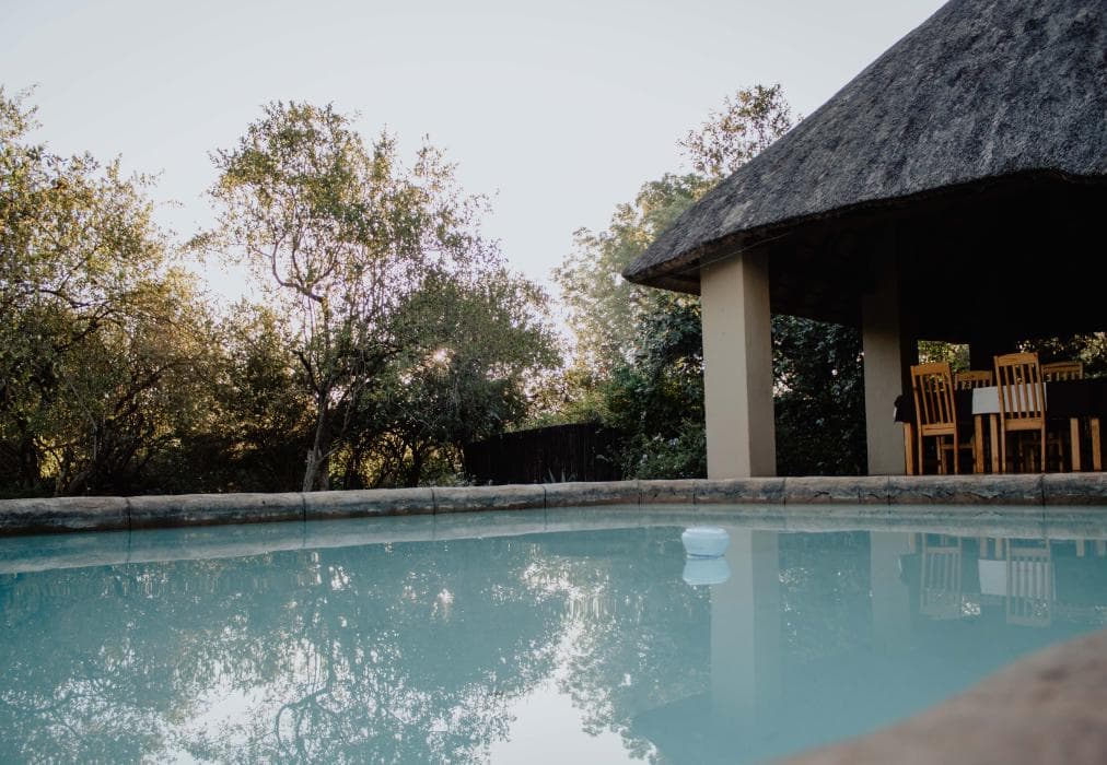 Royal Kruger Lodge and Spa