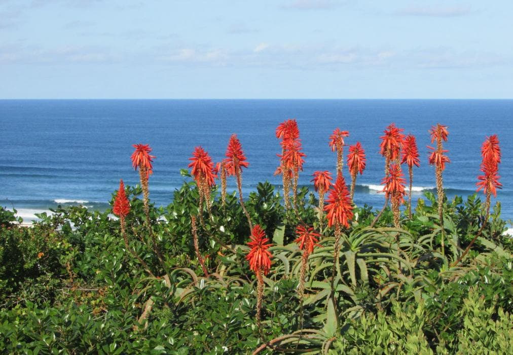 Melkhoutkloof Guest House