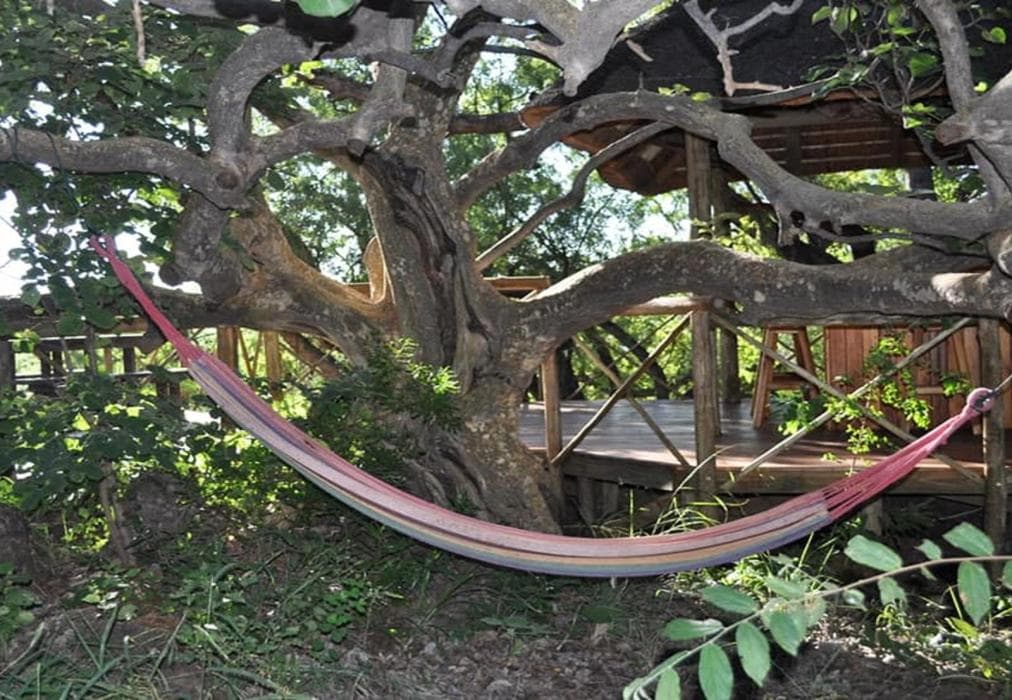 Mount Marula Game Lodge