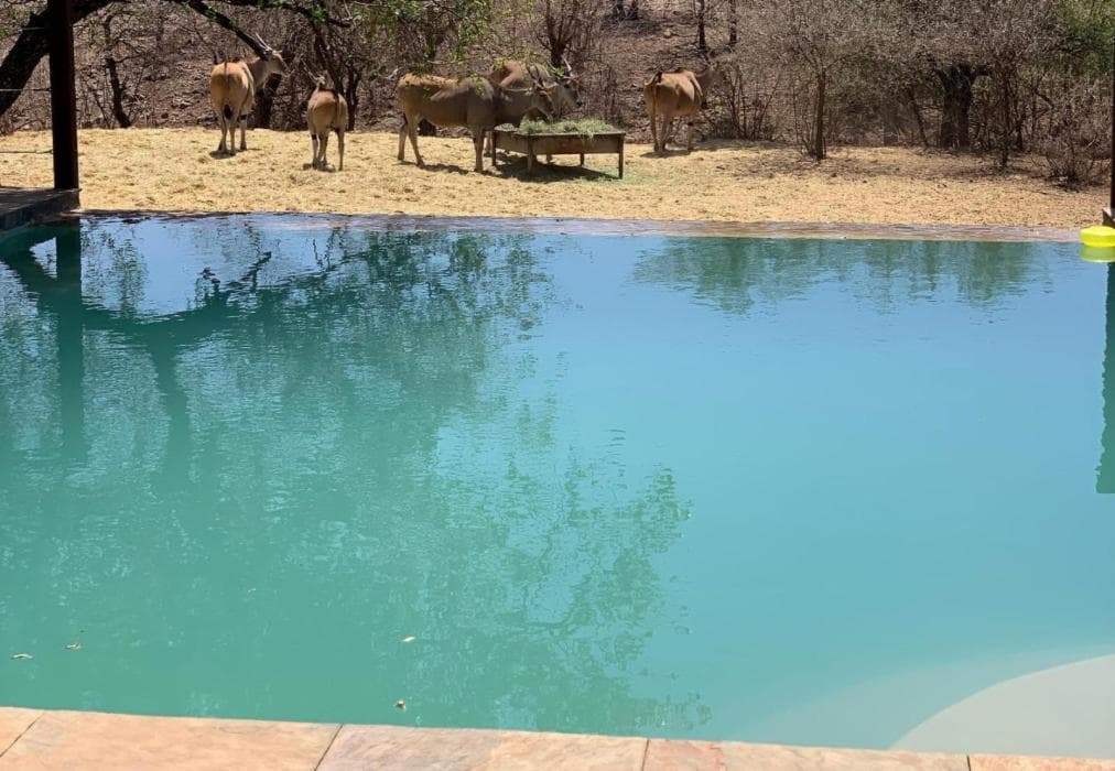 Mount Marula Game Lodge