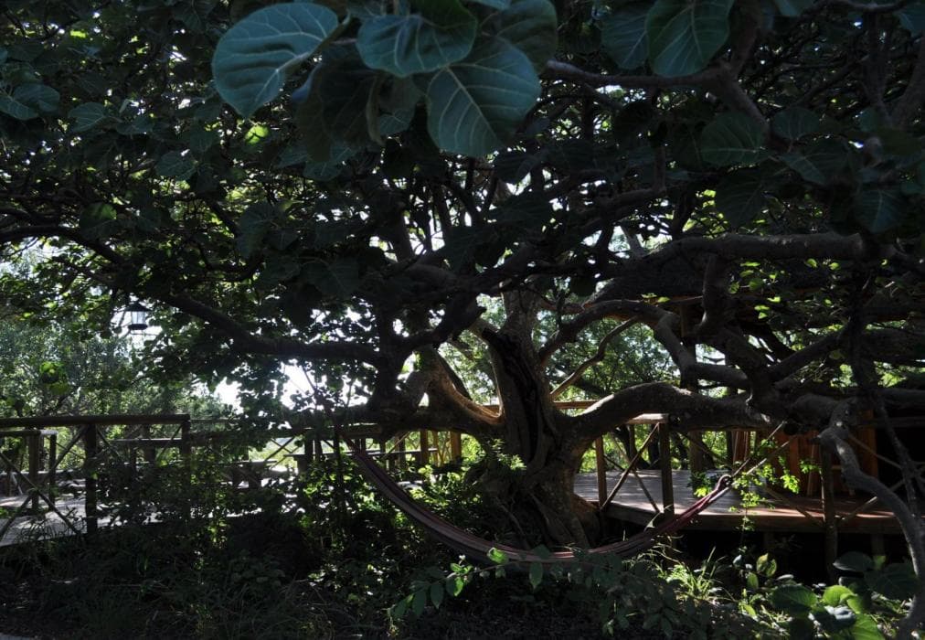 Mount Marula Game Lodge