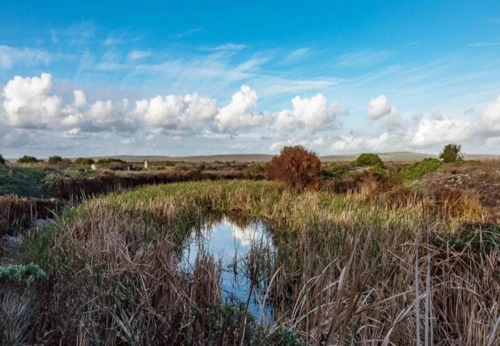 Blombosch Lodge, Yzerfontein